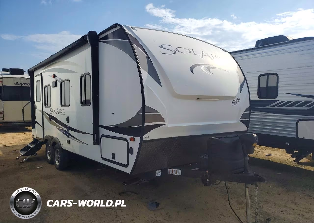 2019 Other Palomino