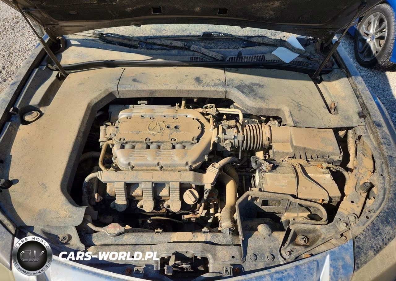 2009 Acura Tl VIN:19UUA86579A015684 - 11