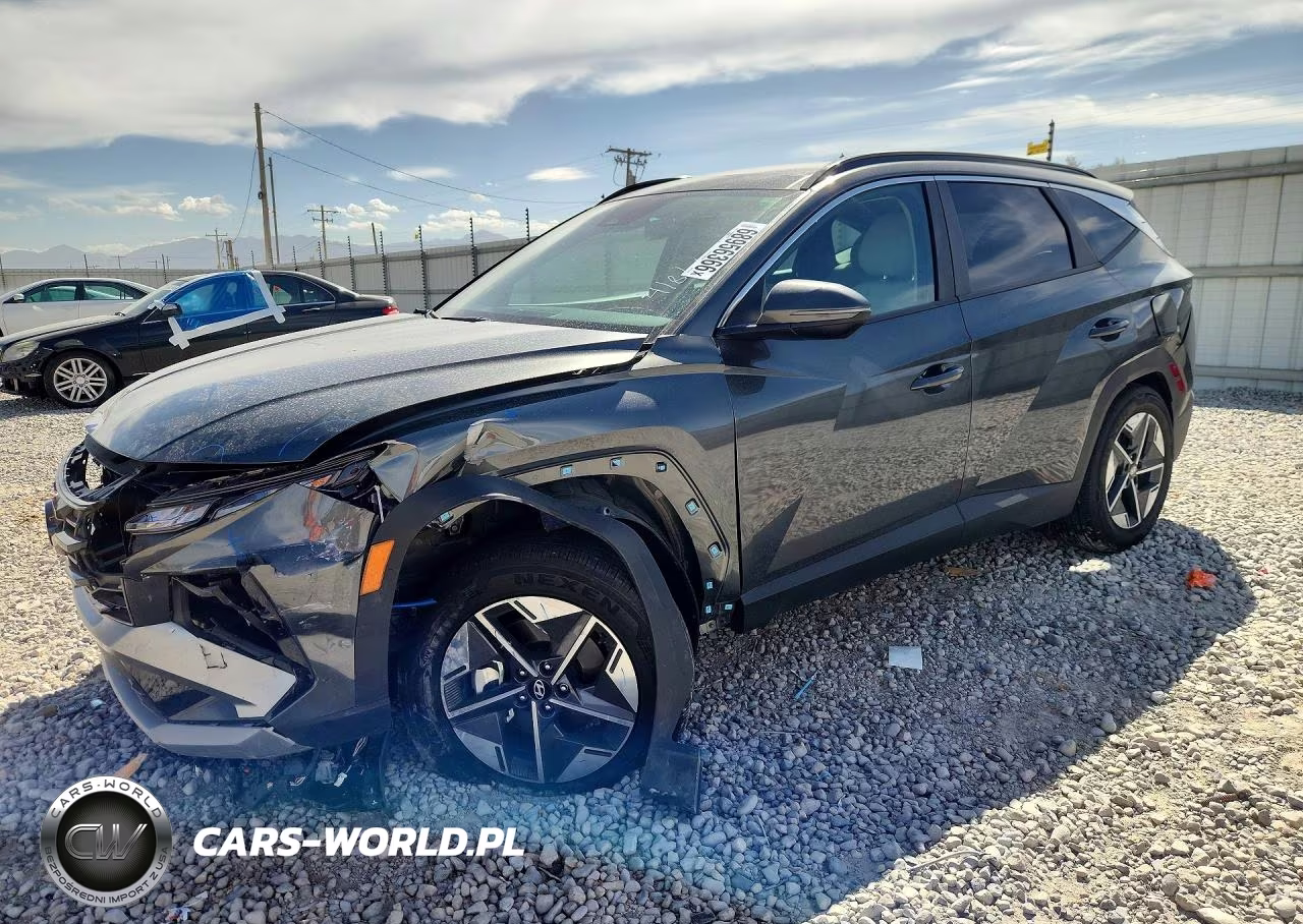 2025 Hyundai Tucson Sel Convenience VIN:KM8JCDD16SU255779 - 1