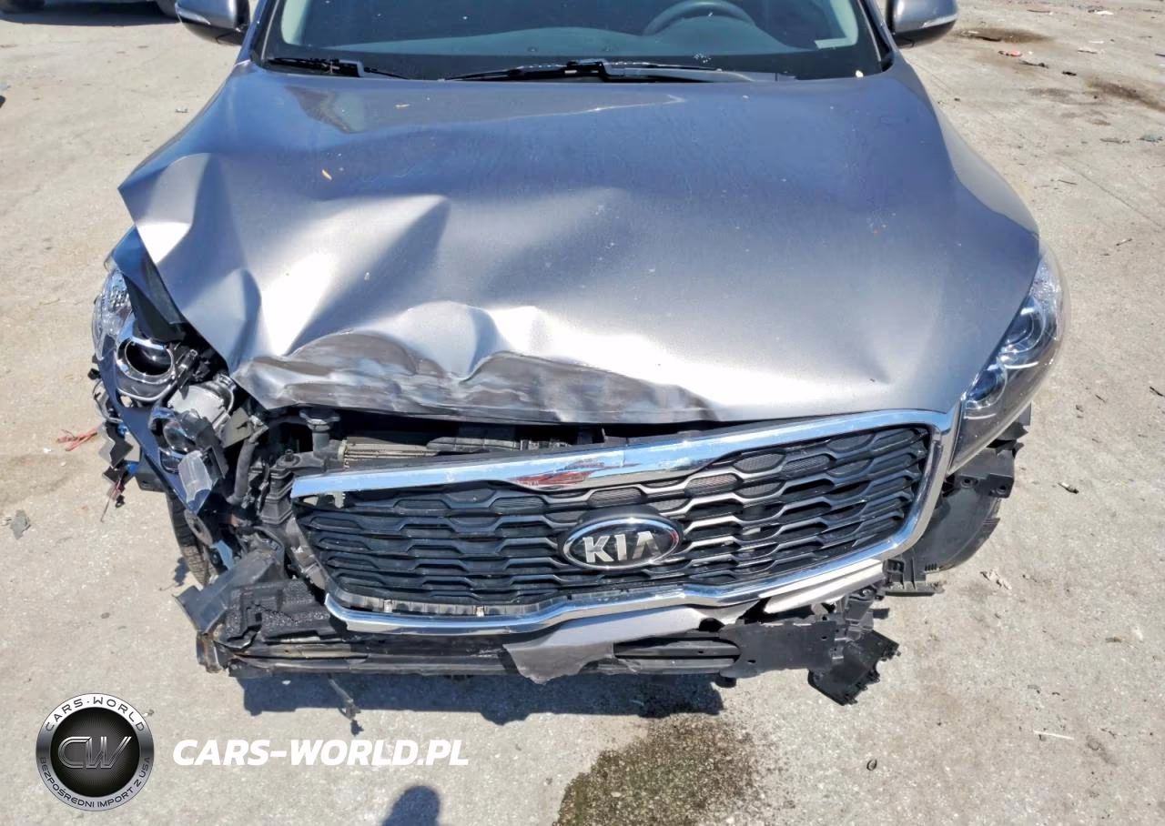 2019 Kia Sorento Lx VIN:5XYPG4A38KG455475 - 12