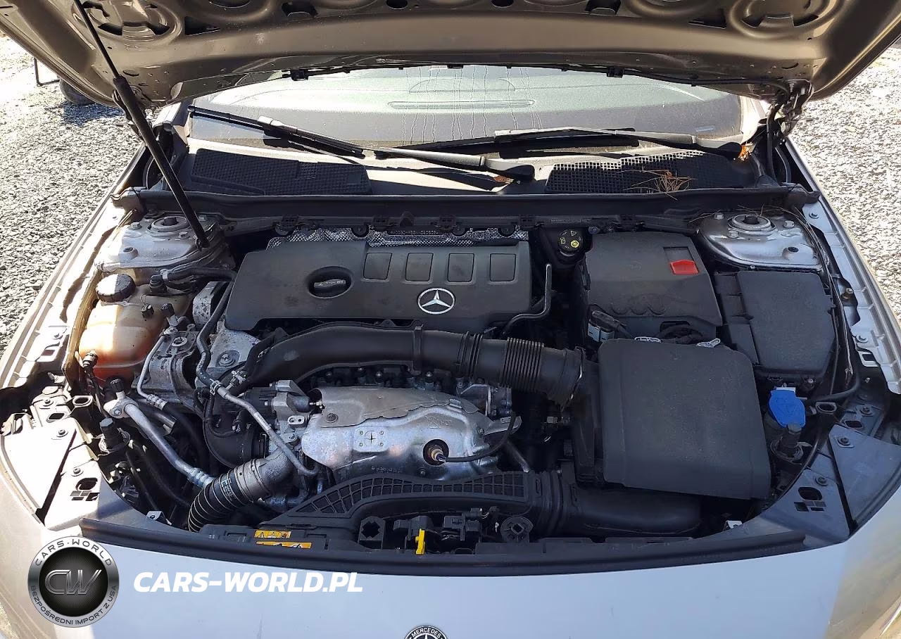2019 Mercedes-Benz A 220 4Matic VIN:WDD3G4FB6KW020509 - 11