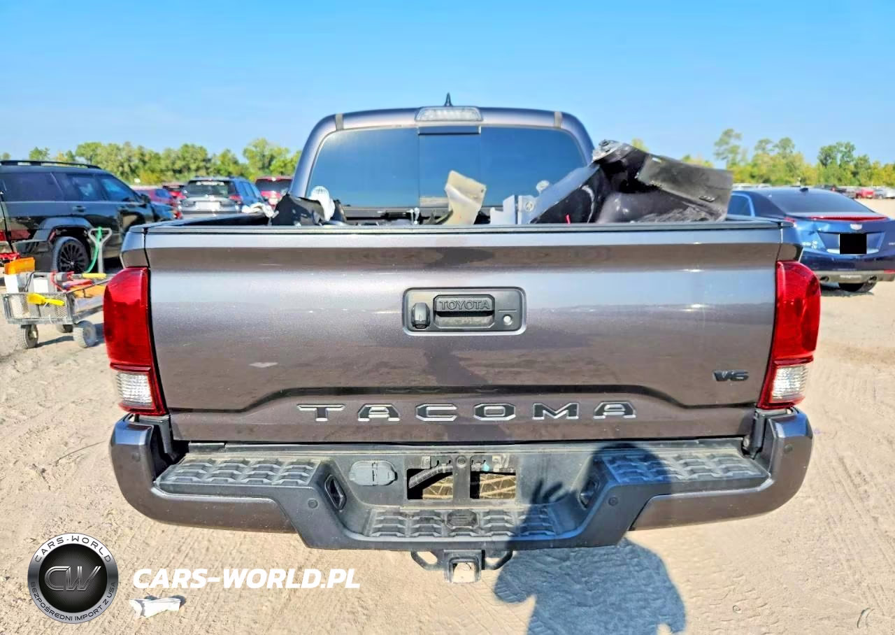 2019 Toyota Tacoma Trd Sport VIN:5TFAZ5CN5KX085572 - 6