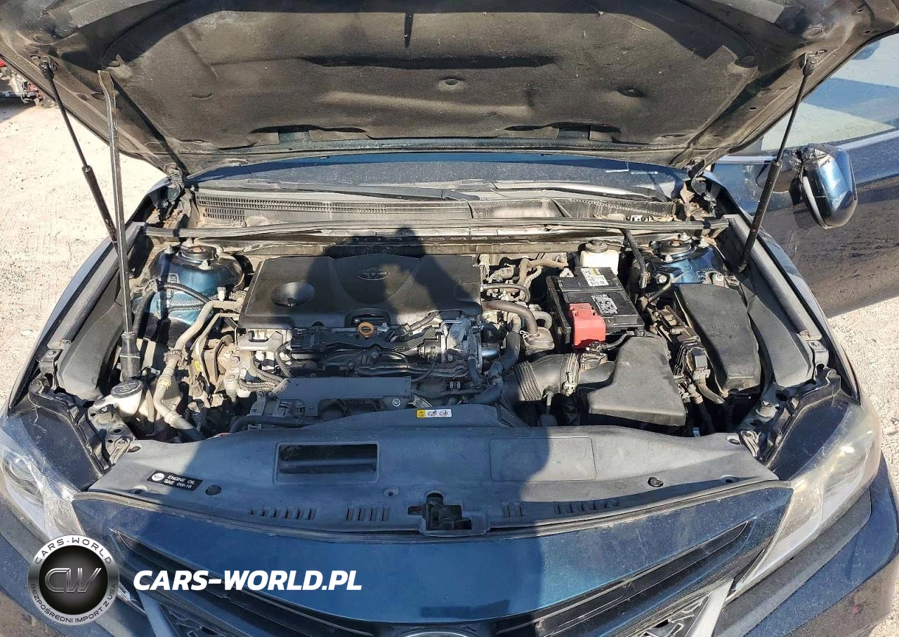 2019 Toyota Camry Se VIN:4T1B11HK4KU270339 - 11