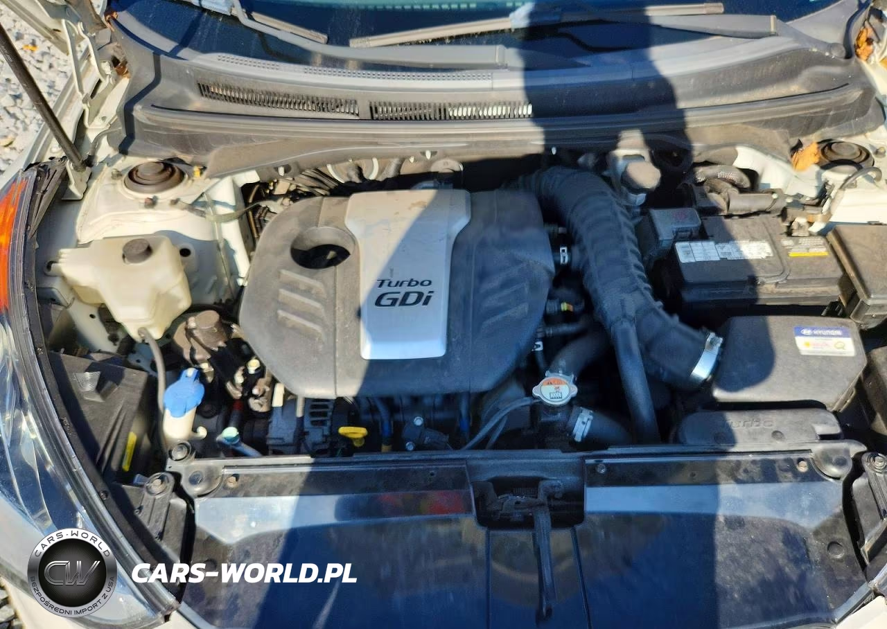 2016 Hyundai Veloster Turbo VIN:KMHTC6AE5GU275377 - 11