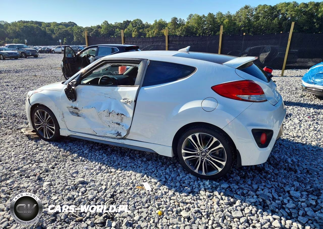 2016 Hyundai Veloster Turbo VIN:KMHTC6AE5GU275377 - 2
