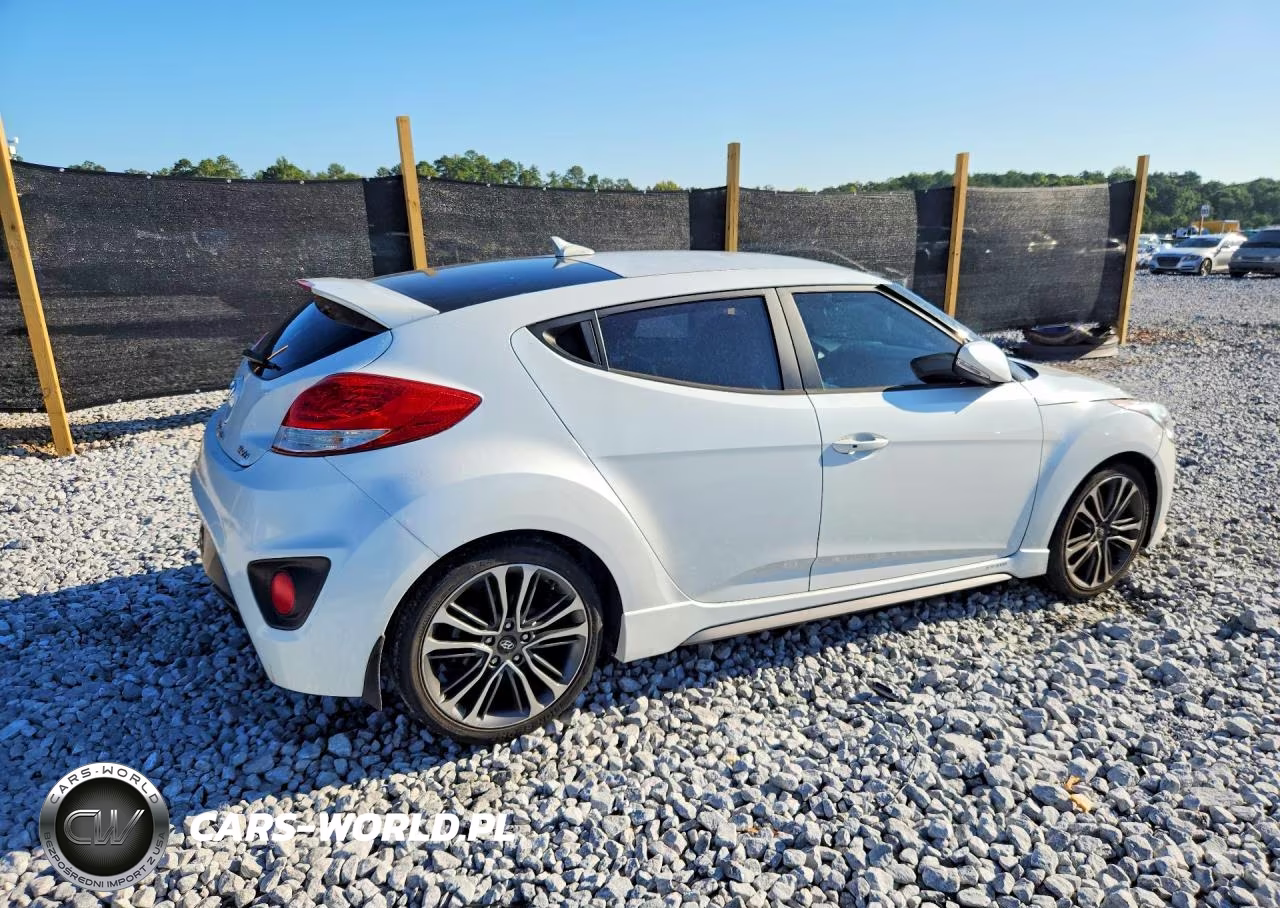 2016 Hyundai Veloster Turbo VIN:KMHTC6AE5GU275377 - 3