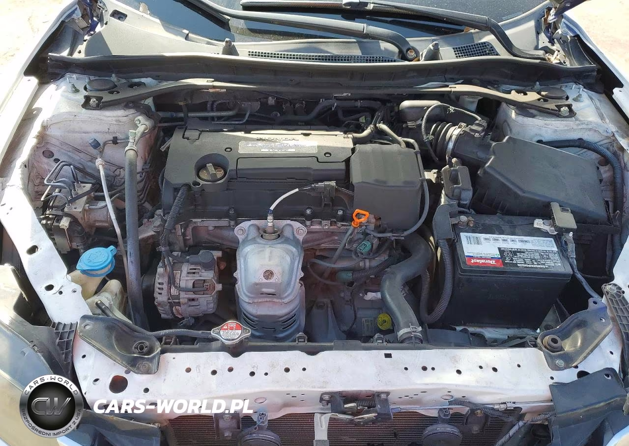 HONDA ACCORD VIN:1HGCT1B89EA015113 - 11