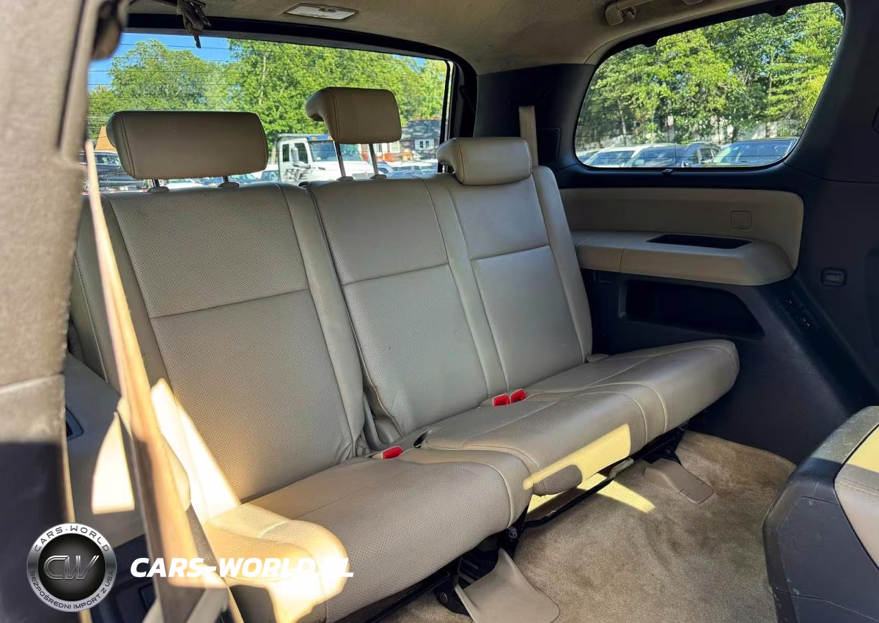 2011 Toyota Sequoia Platinum VIN:5TDDY5G17BS045796 - 9