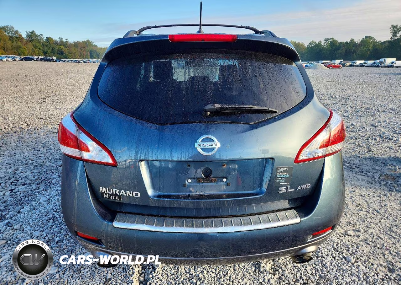2013 Nissan Murano S VIN:JN8AZ1MW3DW307846 - 6
