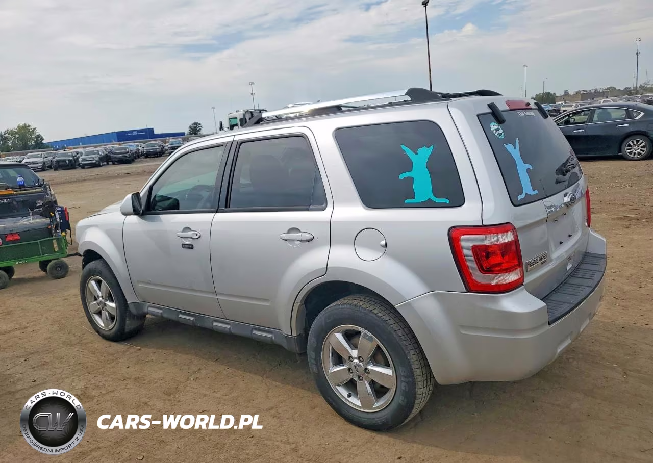2011 Ford Escape Limited VIN:1FMCU0EG9BKA91005 - 2
