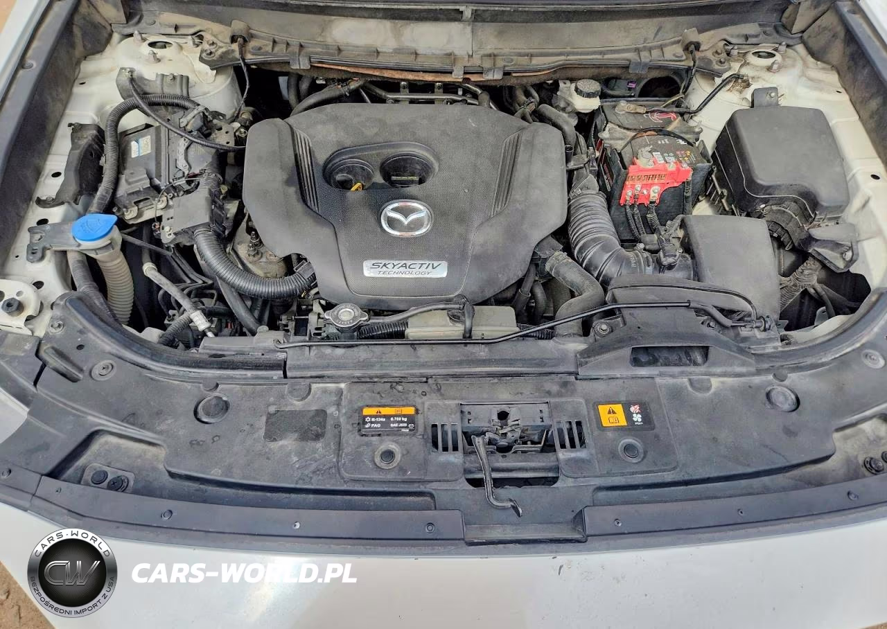 2016 Mazda Cx-9 Touring VIN:JM3TCACY5G0116789 - 12