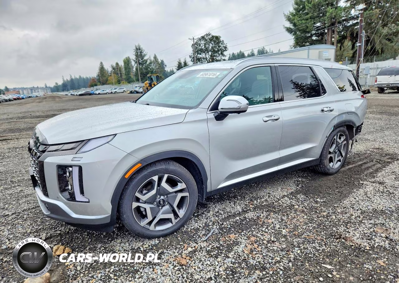 2023 Hyundai Palisade Sel Premium VIN:KM8R4DGEXPU562734 - 1