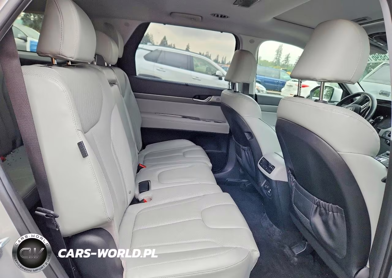 2023 Hyundai Palisade Sel Premium VIN:KM8R4DGEXPU562734 - 11