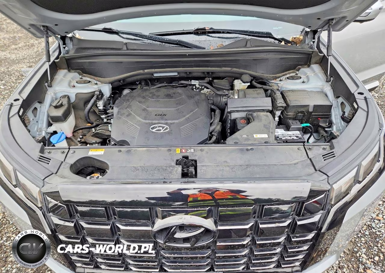 2023 Hyundai Palisade Sel Premium VIN:KM8R4DGEXPU562734 - 12