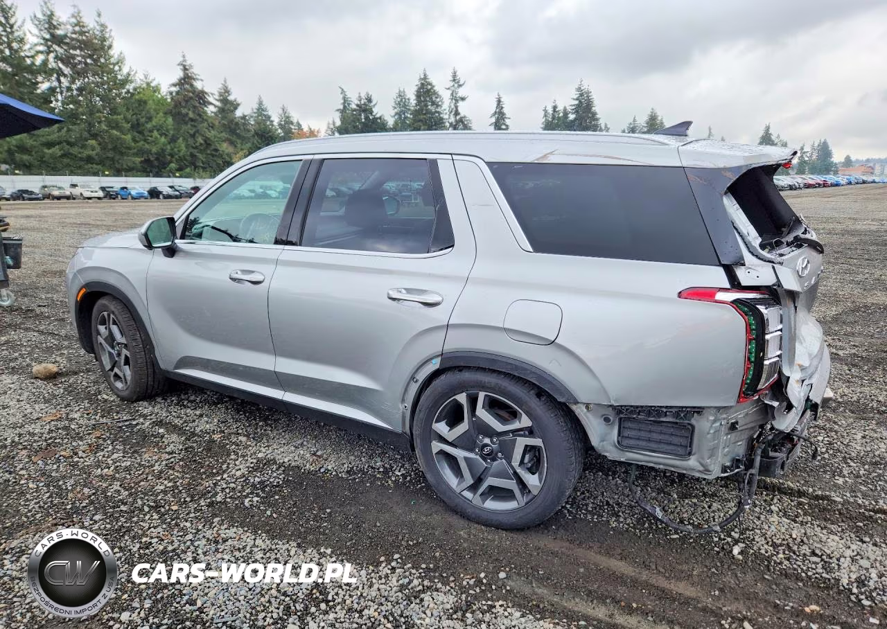 2023 Hyundai Palisade Sel Premium VIN:KM8R4DGEXPU562734 - 2
