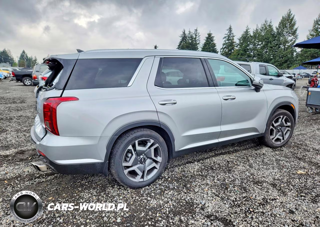 2023 Hyundai Palisade Sel Premium VIN:KM8R4DGEXPU562734 - 3