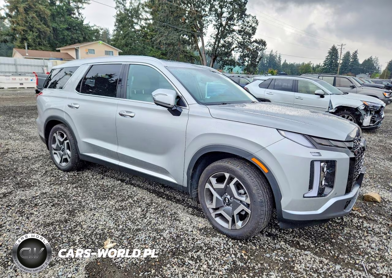 2023 Hyundai Palisade Sel Premium VIN:KM8R4DGEXPU562734 - 4