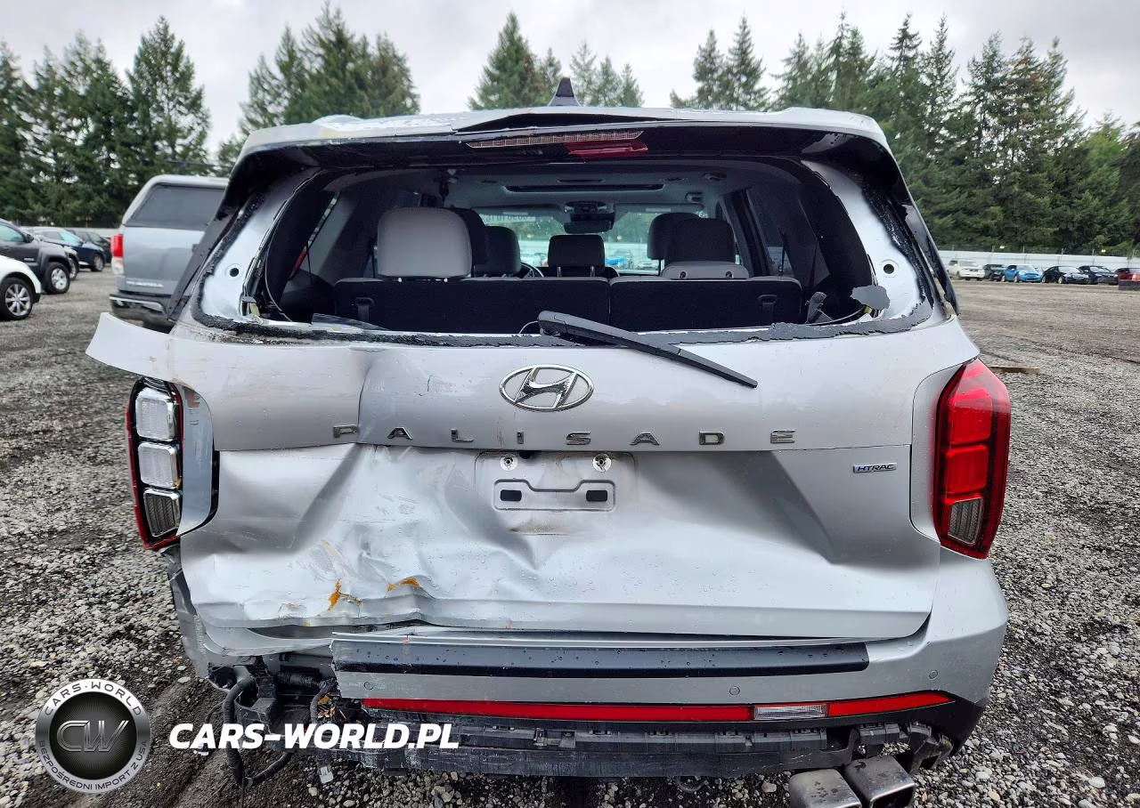 2023 Hyundai Palisade Sel Premium VIN:KM8R4DGEXPU562734 - 6