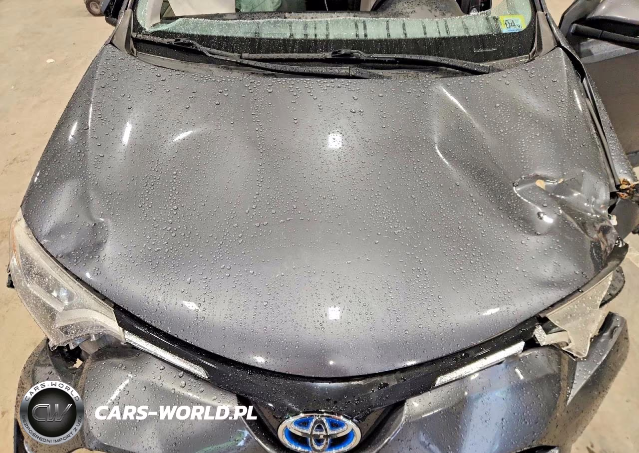 2016 Toyota Rav4 Hv Xle VIN:JTMRJREV1GD002484 - 12