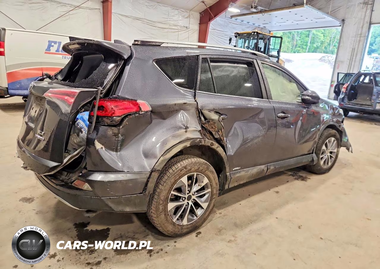 2016 Toyota Rav4 Hv Xle VIN:JTMRJREV1GD002484 - 3