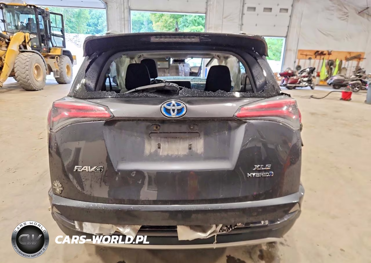 2016 Toyota Rav4 Hv Xle VIN:JTMRJREV1GD002484 - 6