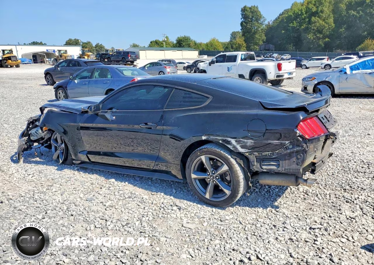 2016 Ford Mustang VIN:1FA6P8AM5G5294553 - 2