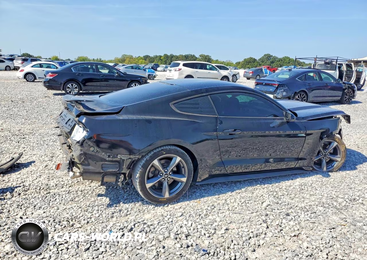 2016 Ford Mustang VIN:1FA6P8AM5G5294553 - 3