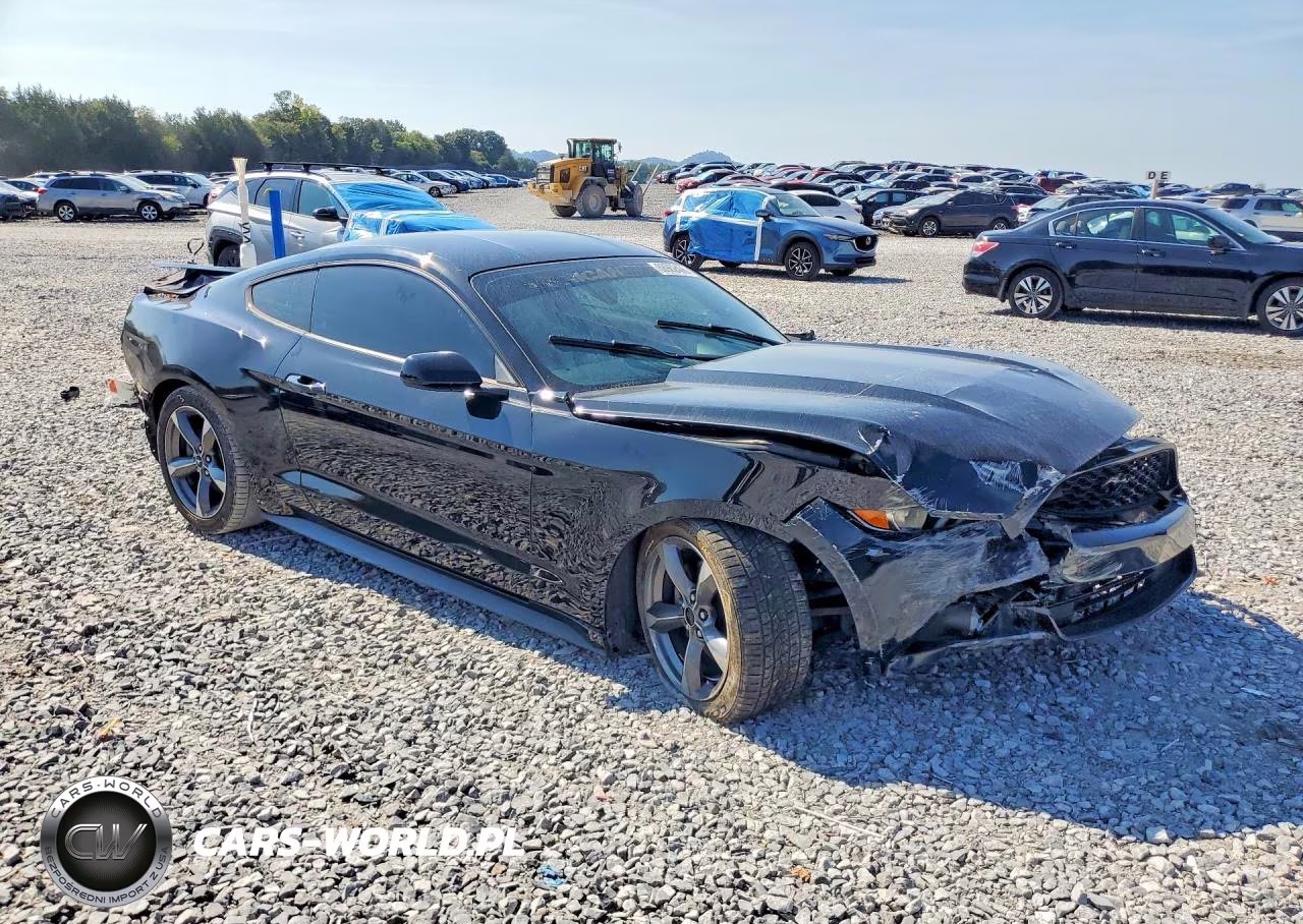 2016 Ford Mustang VIN:1FA6P8AM5G5294553 - 4