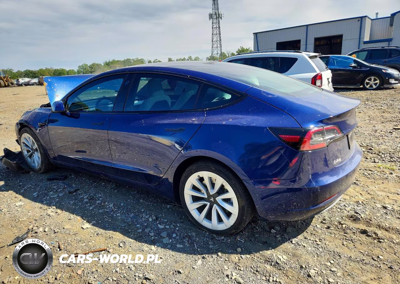 2023 Tesla Model 3 VIN:5YJ3E1EA8PF552377 - 2