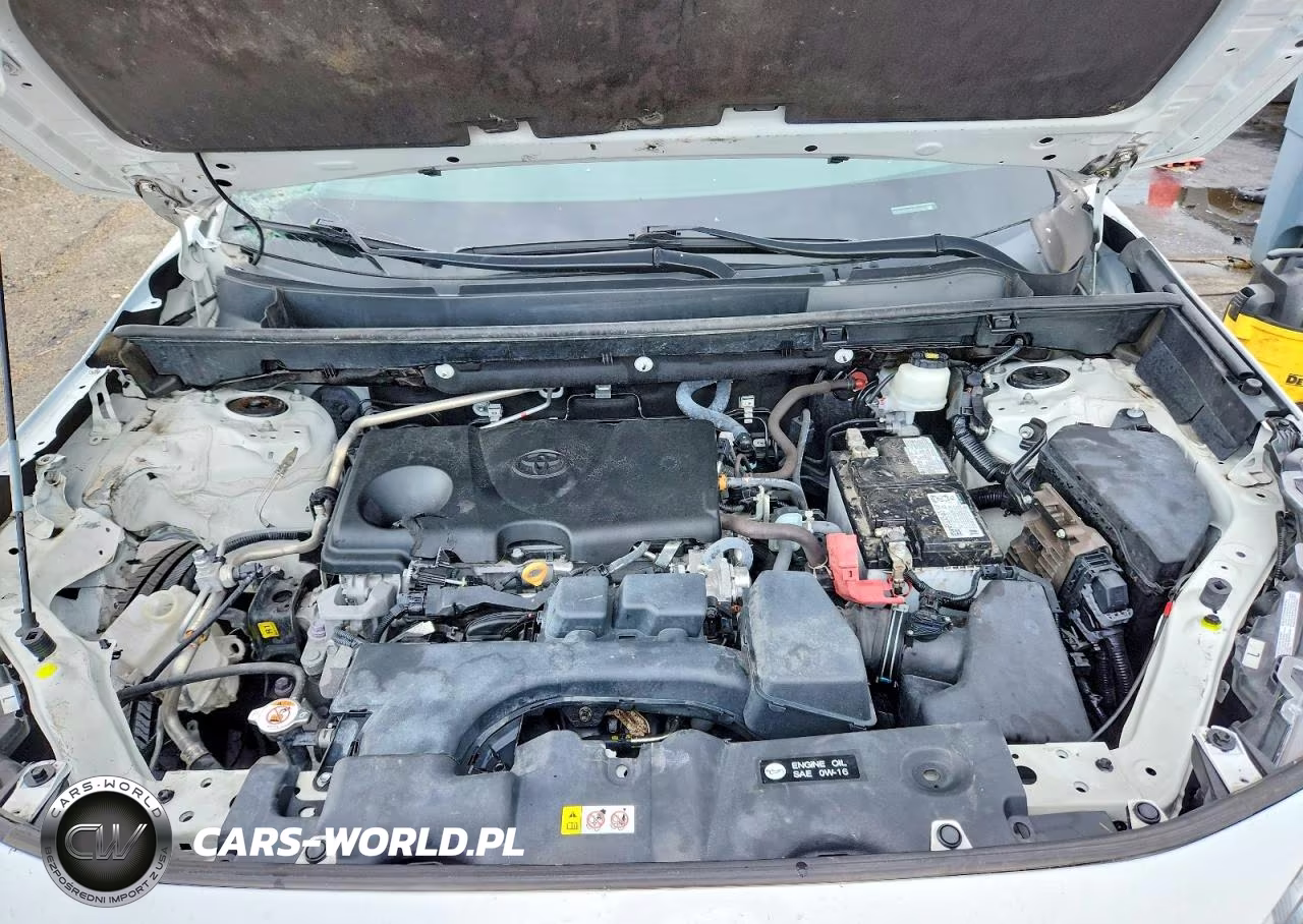 2023 Toyota Rav4 Le VIN:2T3H1RFVXPC219661 - 11