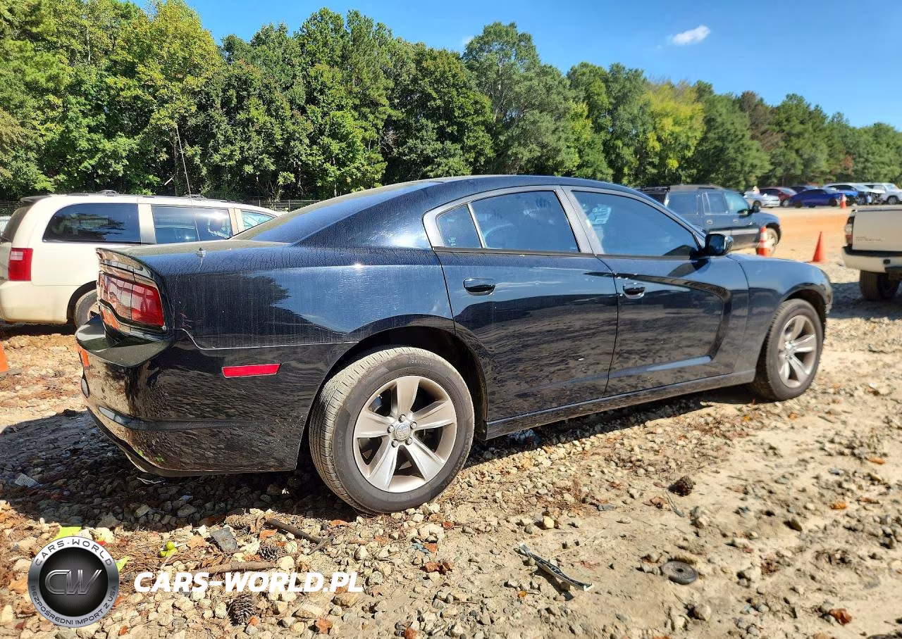 2013 Dodge Charger Police VIN:2C3CDXAG4DH694946 - 3