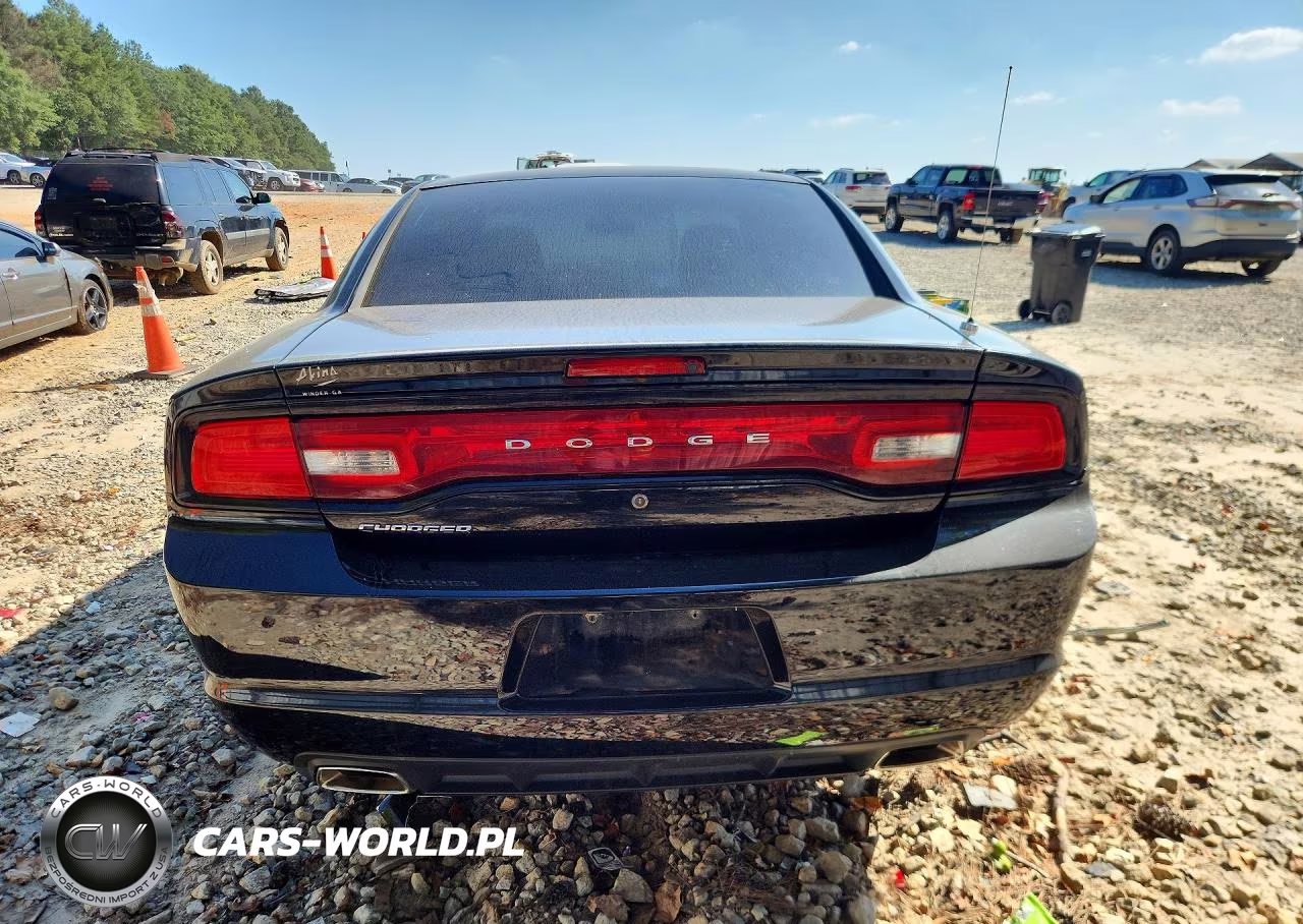 2013 Dodge Charger Police VIN:2C3CDXAG4DH694946 - 6
