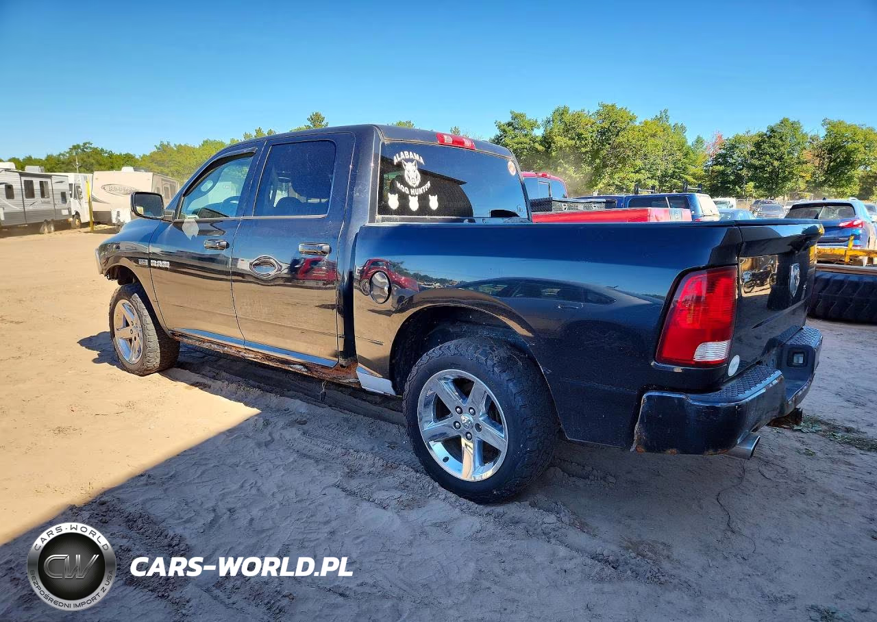 2009 Dodge Ram 1500 VIN:1D3HB13T59J502252 - 2