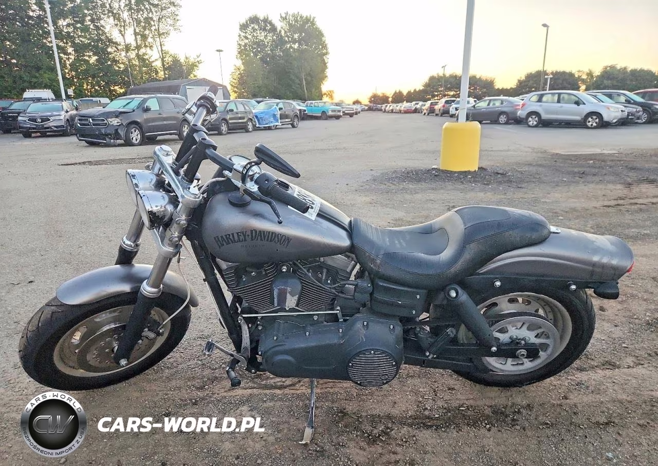 2009 Harley-Davidson Fxdf VIN:1HD1GY4179K333670 - 3