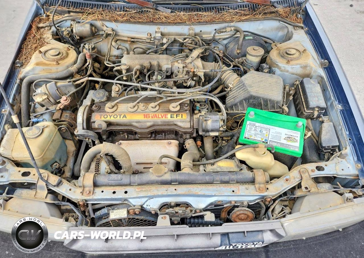 1989 Toyota Corolla Sr5 VIN:JT2AE96V5K0059456 - 11