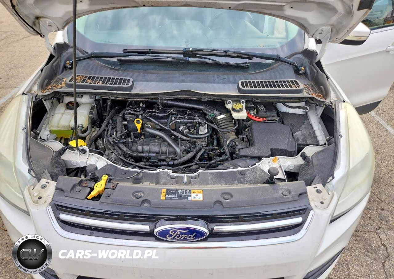 2014 Ford Escape Titanium VIN:1FMCU0JX1EUB58789 - 12