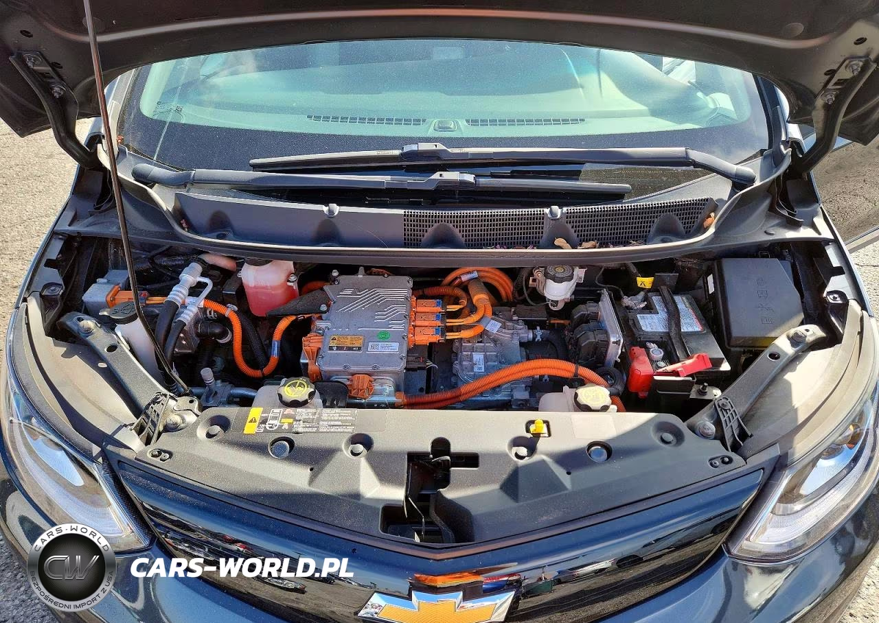 2017 Chevrolet Bolt Ev Lt VIN:1G1FW6S04H4131261 - 11