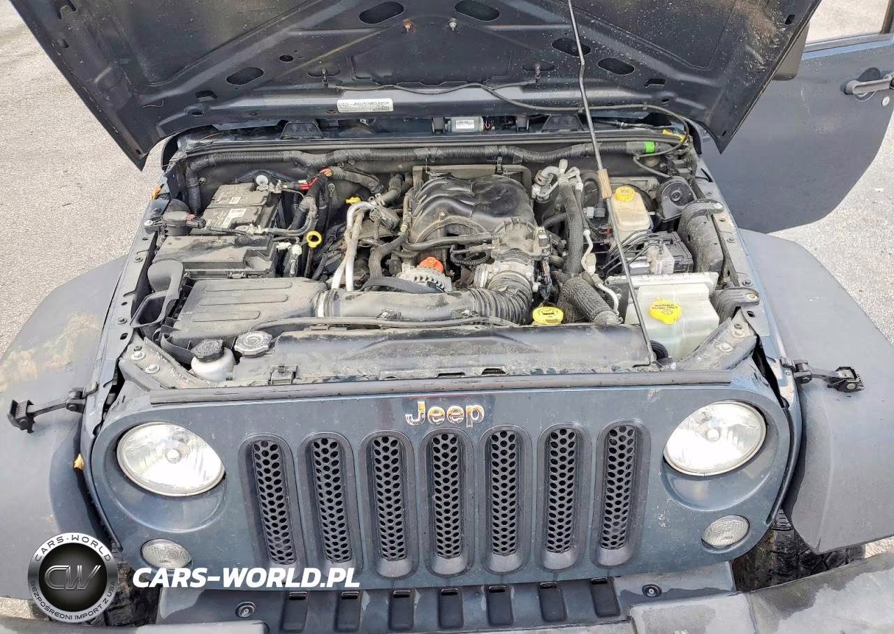 2017 Jeep Wrangler Unlimited Sport VIN:1C4BJWDG3HL542316 - 12