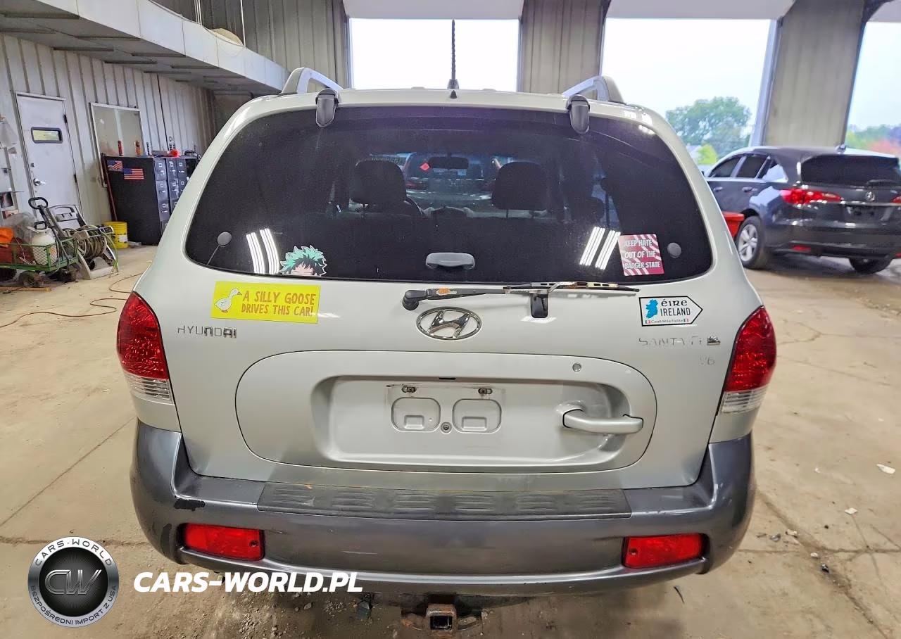 2006 Hyundai Santa Fe Gls VIN:KM8SC13D76U107287 - 6