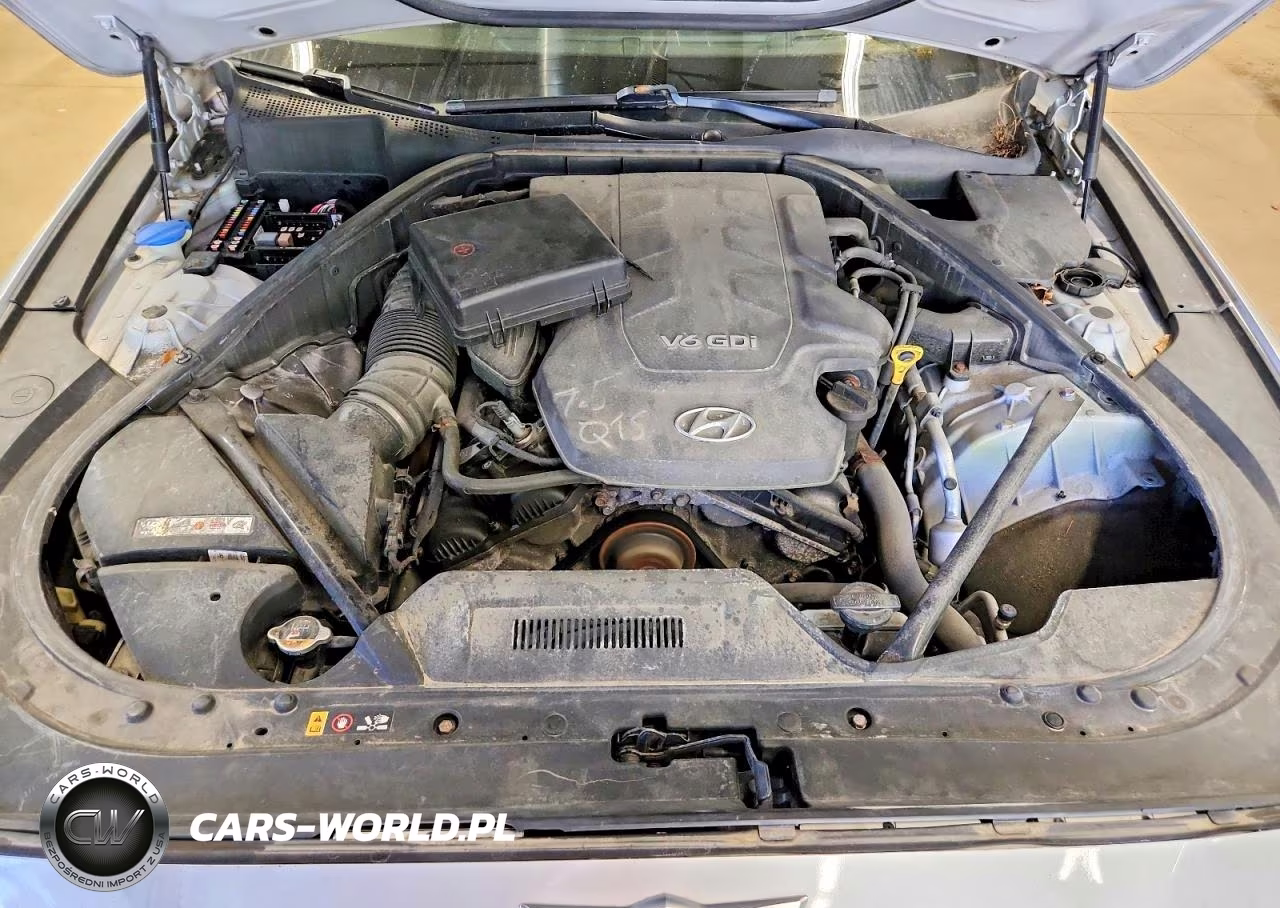 2015 Hyundai Genesis 3.8L VIN:KMHGN4JE5FU079471 - 11