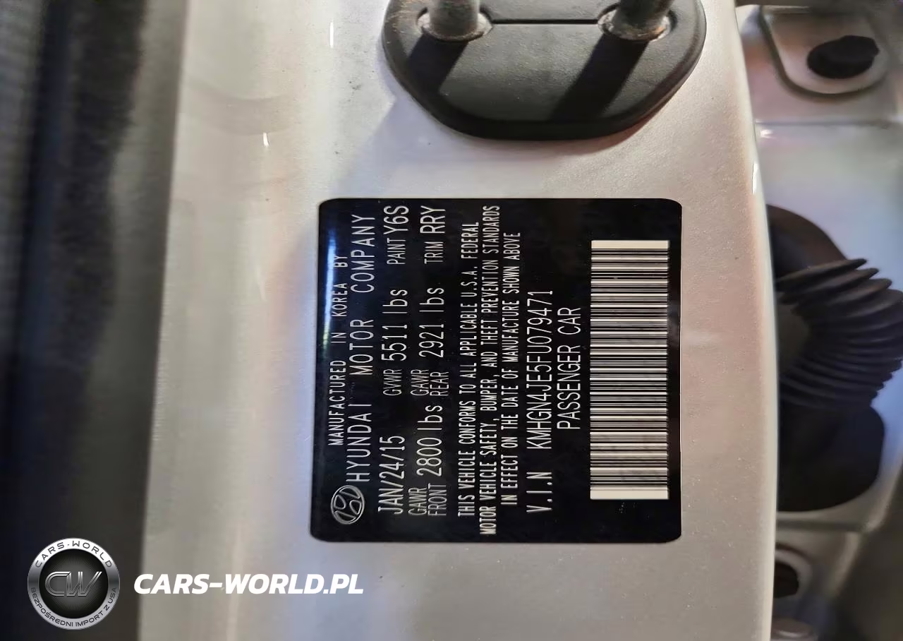 2015 Hyundai Genesis 3.8L VIN:KMHGN4JE5FU079471 - 12