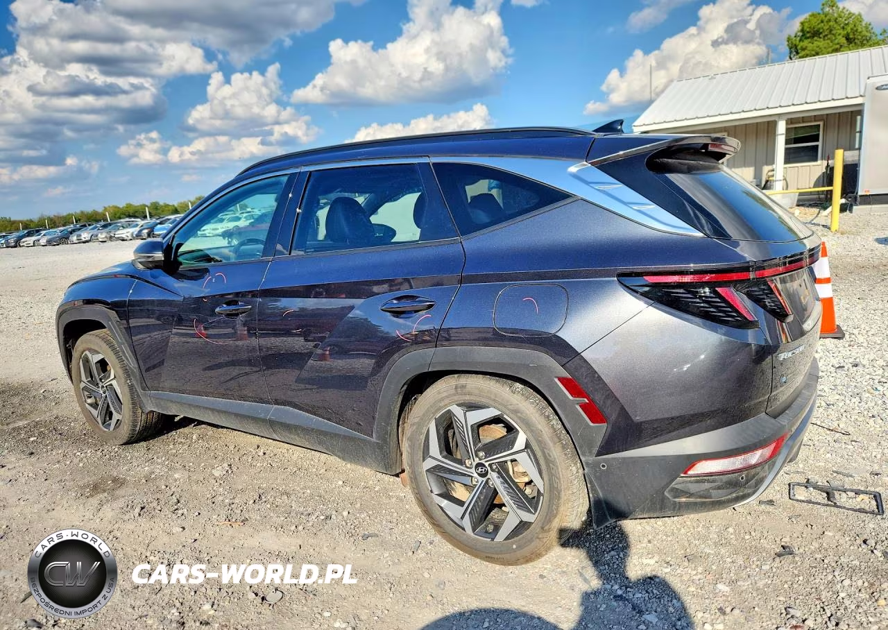 2024 Hyundai Tucson Limited VIN:5NMJE3DE1RH342230 - 2