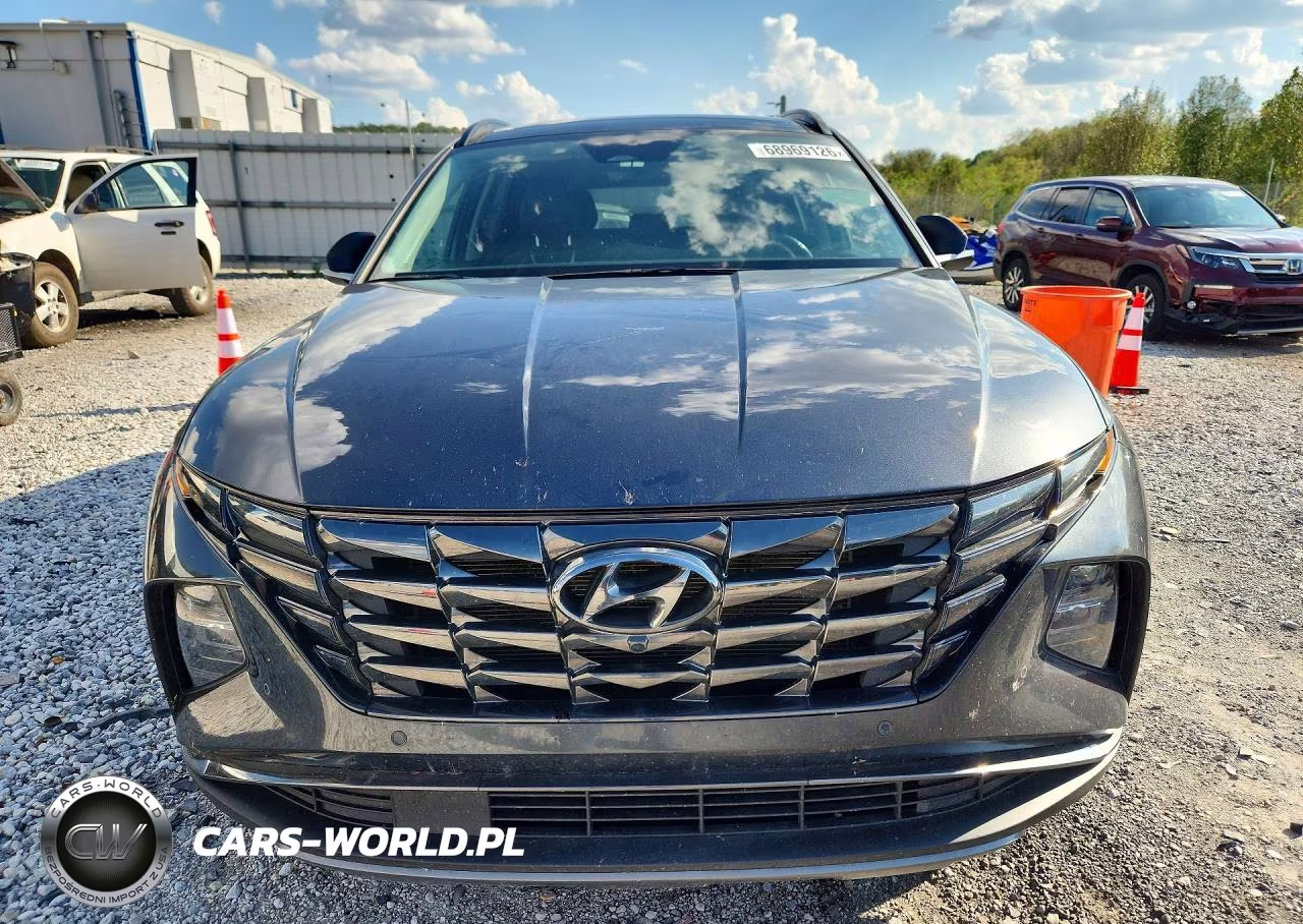 2024 Hyundai Tucson Limited VIN:5NMJE3DE1RH342230 - 5