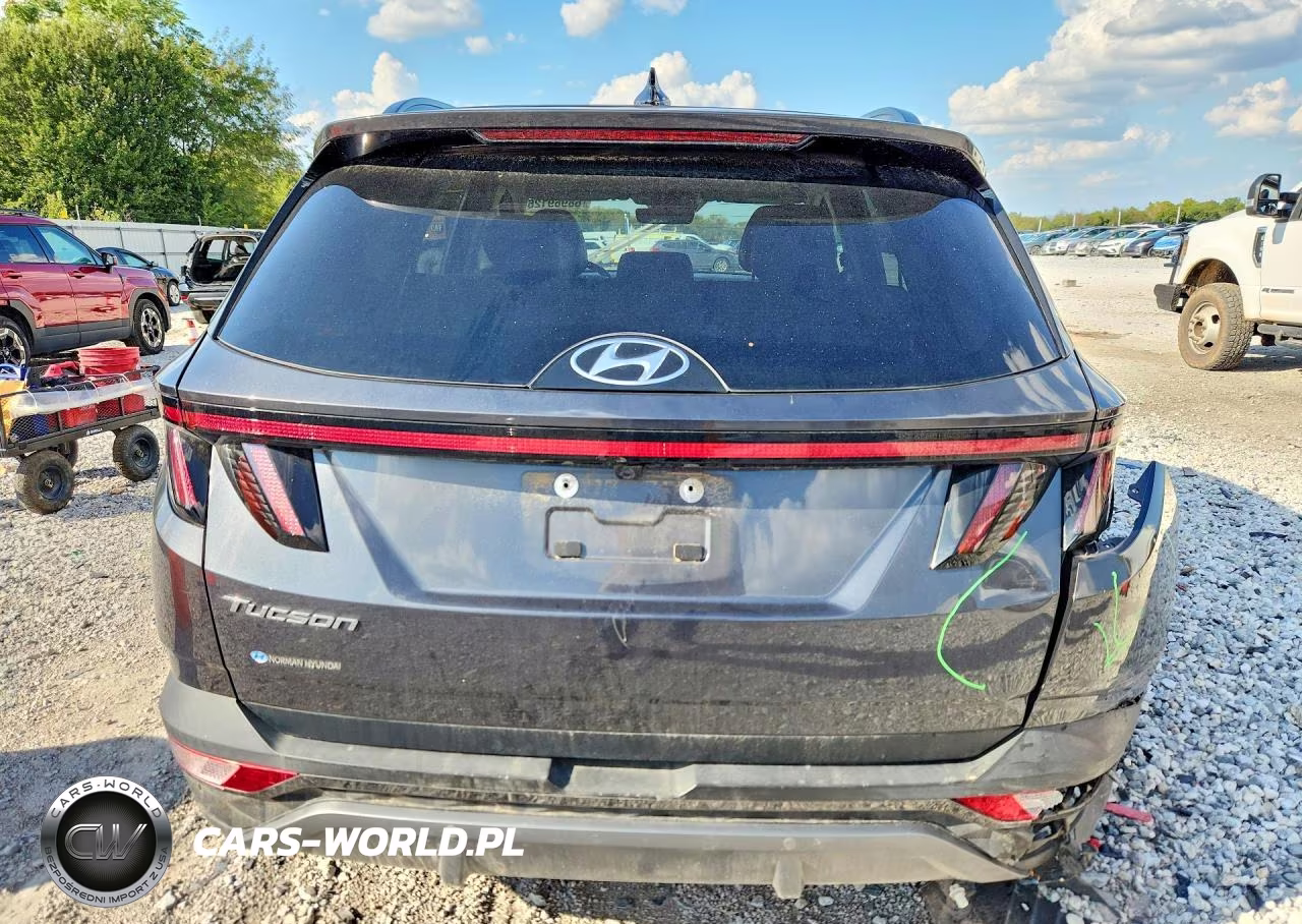 2024 Hyundai Tucson Limited VIN:5NMJE3DE1RH342230 - 6