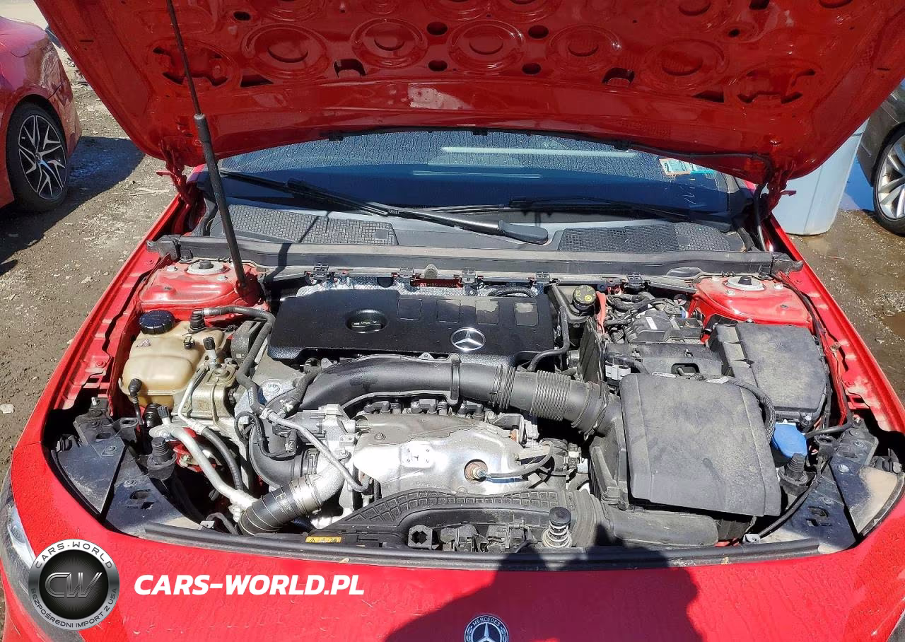 2020 Mercedes-Benz A 220 VIN:WDD3G4EB8LW040084 - 11