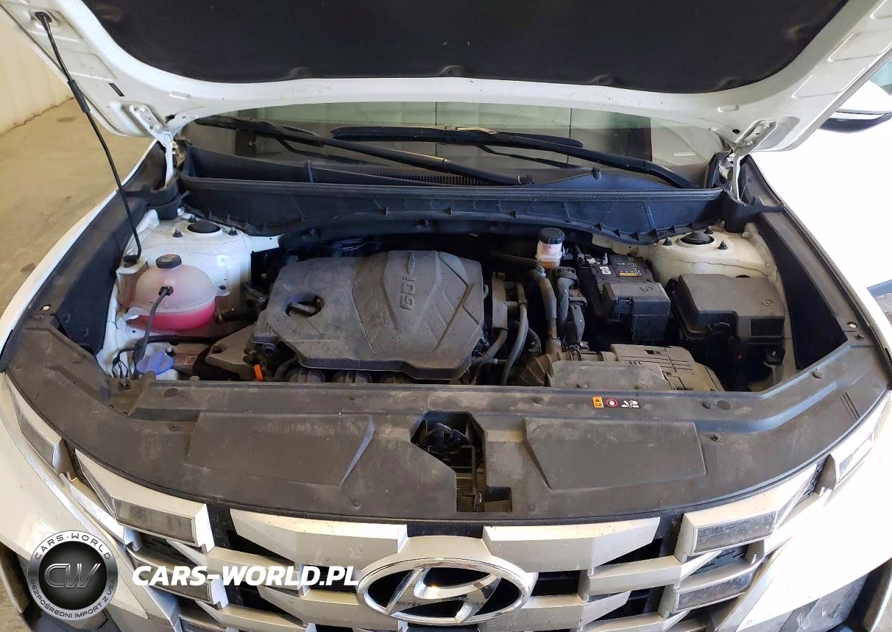 2024 Hyundai Santa Cruz Sel VIN:5NTJCDAE1RH099278 - 11