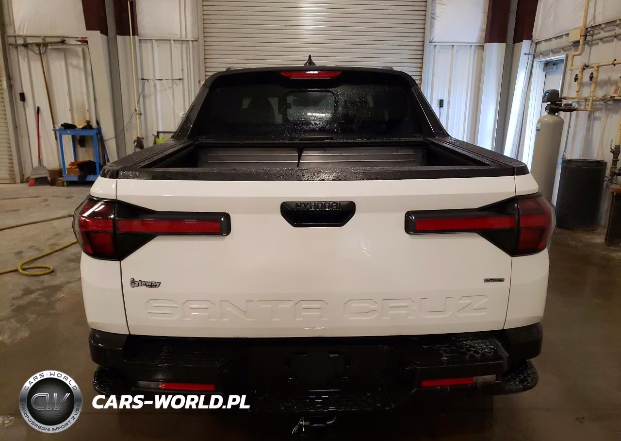 2024 Hyundai Santa Cruz Sel VIN:5NTJCDAE1RH099278 - 6