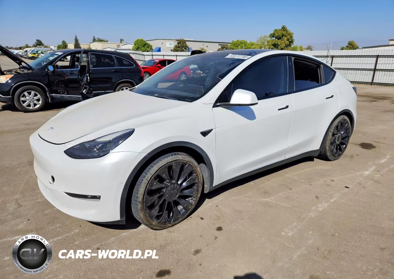 2022 Tesla Model Y