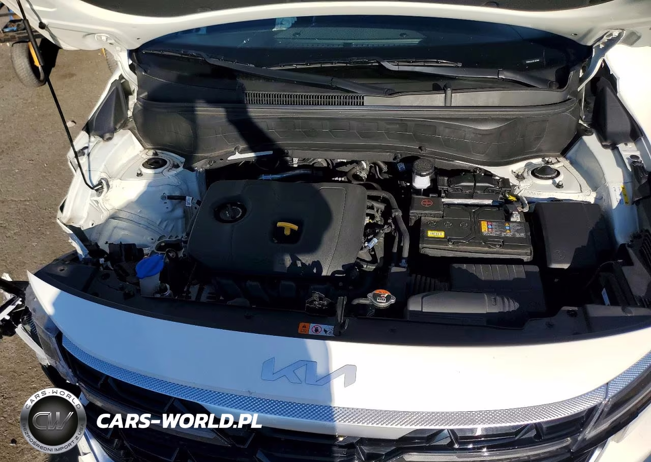 2025 Kia Seltos S VIN:KNDEUCAAXS7807641 - 12