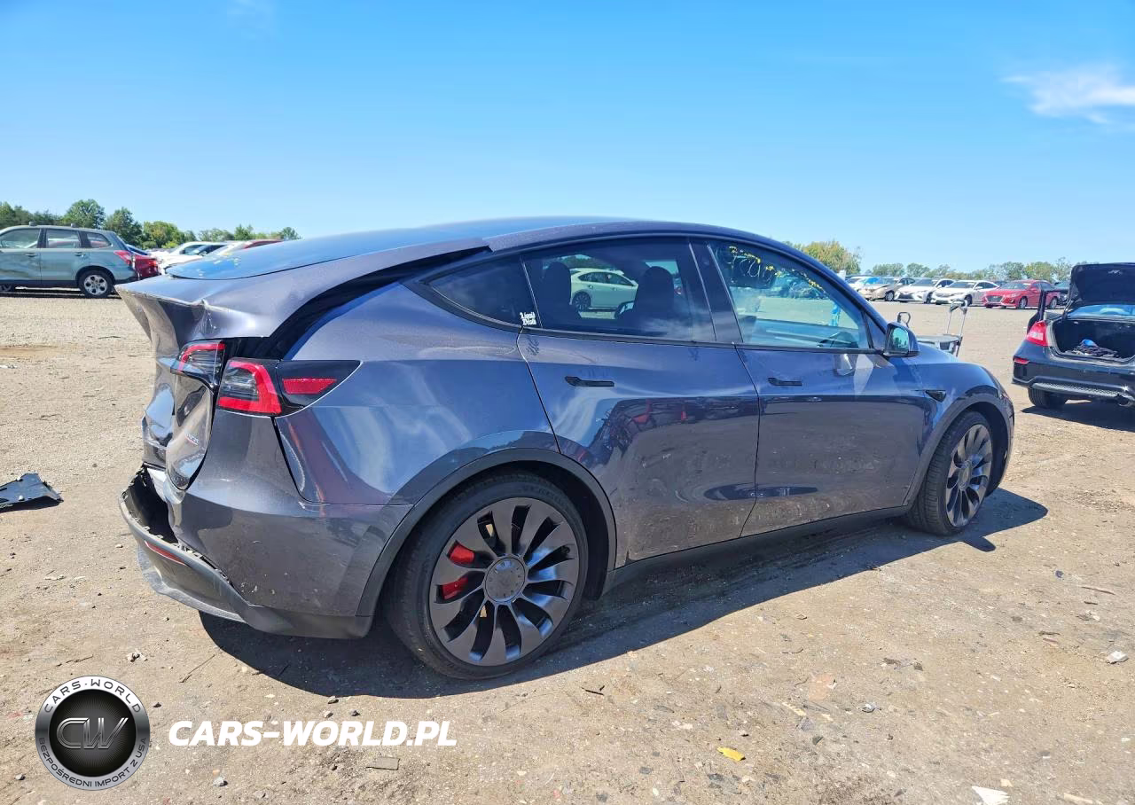 2023 Tesla Model Y Performance Dual Motor All-Wheel Drive VIN:7SAYGDEF2PF700393 - 3